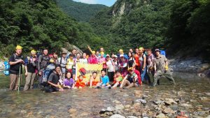 Allantoin, Sodium hydroxymethyl glycinate