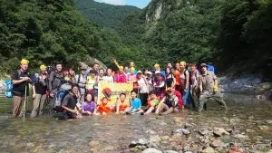 Allantoin, Sodium hydroxymethyl glycinate