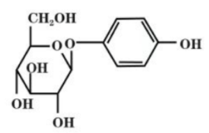 Beta Arbutin structure